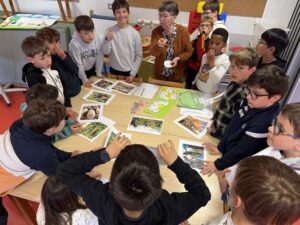 IMG_2631-copy-0