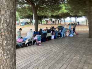 bb3d7e88-4550-4d95-8a02-cfe25dc4ed48