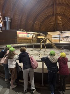 IMG_1336